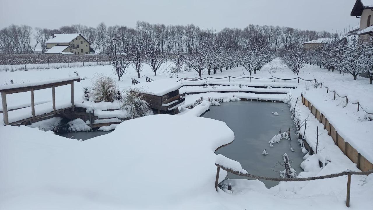 Casa Danei Otel Braşov Dış mekan fotoğraf