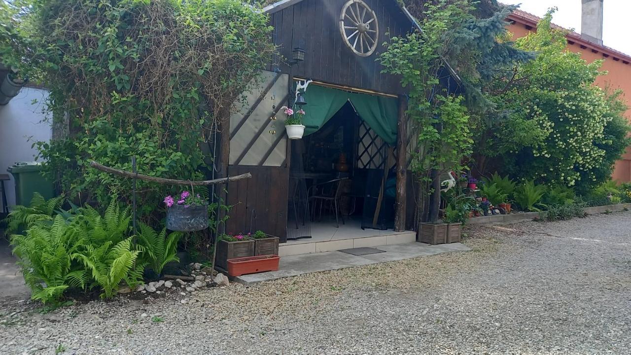 Casa Danei Otel Braşov Dış mekan fotoğraf