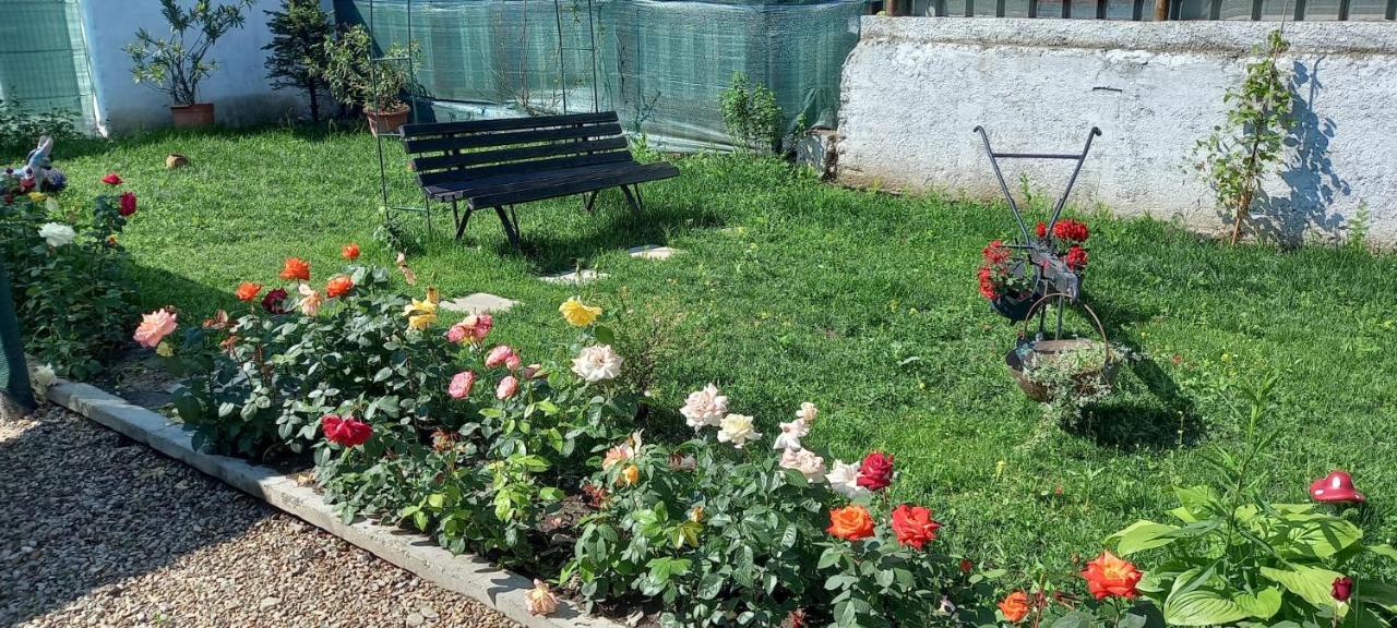 Casa Danei Otel Braşov Dış mekan fotoğraf